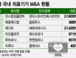 ظ 6°KǷ M&A Ȱ, 2 Ѵ Ű 2