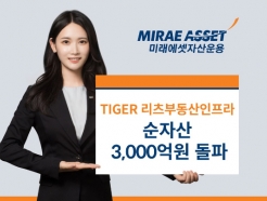 <strong>̷</strong>, TIGER <strong></strong>ε ETF ڻ 3000 