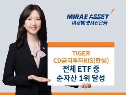 'TIGER CDݸKIS(ռ) ETF' ڻ 163308