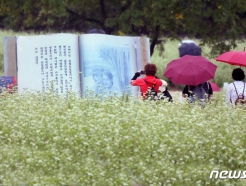 [ϳ]  泲 ؾȡֵ 񡦳 ְ  31