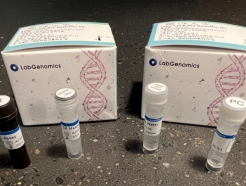 <strong>ͽ</strong>,  ô߿üƮ  PCR ŰƮ 2 