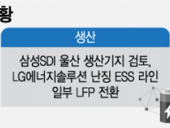 "2년뒤 'LFP' 타이틀매치"…한·중 '배터리 2차전' 일정 잡혔다