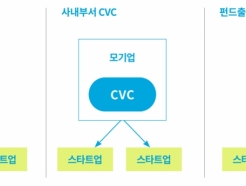 VC  31%  'ū' CVC"߰߱ Ưȭ ؾ"
