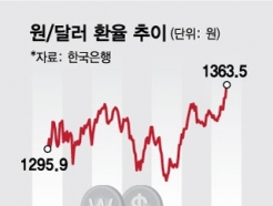 '美국채 쇼크'에 외환시장도 출렁…원/달러 환율 1360원 돌파