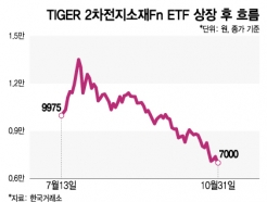 '͸'  ETF'츣' ϴ 