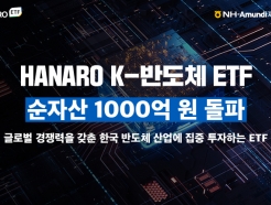 'HANARO Fn K-ݵü' ETF, ڻ 1000 