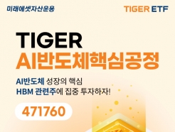 ̷ڻ, 'TIGER AIݵüٽɰ' ETF 