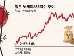 "60% 뛰었다"…'日주식 싹쓸이' 투자 귀재 따라 타더니 '흐뭇'