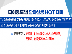 [Ÿ ] AI   ١ AWS ű 츣 'ν̺ý' VS ¸  ΰ  ҽĿ ΰ ''