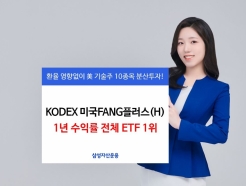 'KODEX ̱FANG÷(H)'ü ETF  1 ͷ 1