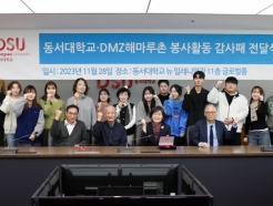DMZ ظ, <strong></strong>뿡 С 