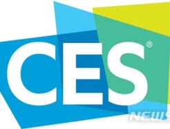 CES 'D-30', ＺLG CEO ⵿, ٽ Ű 'AI'