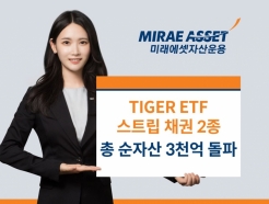 ̷, TIGER Ʈ ä ETF 2  ڻ 3000