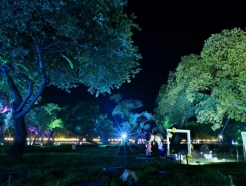 올해 야간관광 특화도시…공주·여수·성주 선정