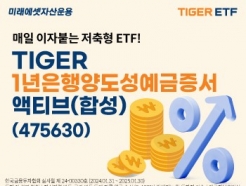 ̷ 'TIGER 1絵Ƽ(ռ)' ETF 