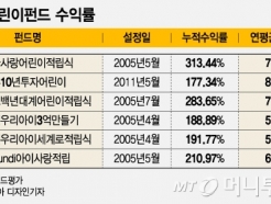 " þٰ"    313% ͷ ݵ 淡