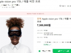 "한국선 못 구해요"...애플 '비전 프로' 웃돈 200만원 붙었다