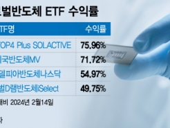 "Ｚ  ʿ "75%  ݵü ETF ?