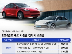 "한국 기업이 먼저" 전기차 보조금 몰아주자…수입차 "가격 인하"