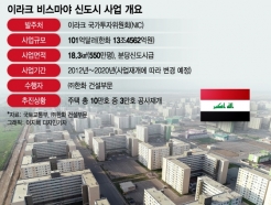 20.6조 이라크 신도시 재건, 한국 참전
