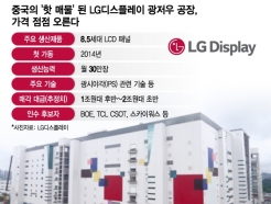 중국 달구는 LG디스플레이 광저우 공장…2파전에 가격 '훨훨'