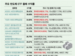 '40% VS -15%' ݵü, ETF ͷ õ