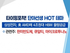 [Ÿ ] Ｚ, ڸ AMD 4 HBM  'ťƼ' VS װ Ŭ   '¿'