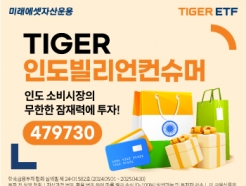 ̷, TIGER ε ETF ű 