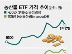 ϳ ߻ ɼ 80%...ھơĿ  ' ETF' 