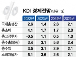 KDI  2.6% 1б GDP  Ȳ ޶
