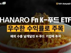 Ҵ α⿡HANARO Fn K-Ǫ ETF ָ