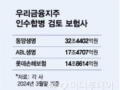  M&A ߽ɿ  츮  