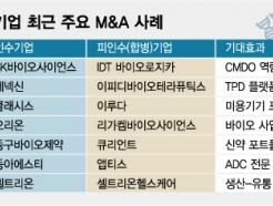 ' ϰ Ǵ Ӱ' ϴ K̿ M&A