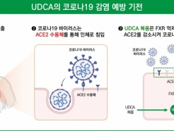 "  'UDCA', ڷγ19  濡 ȿ ִ"