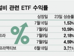 ׼ ¼ ETF, ޺ ƴϾס¦ ְ ''