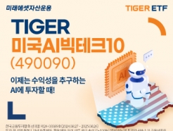 ̷, TIGER ̱AIũ10 ETF űԻ