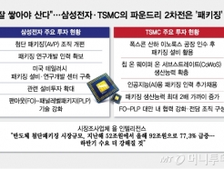 ѱ 4% vs 븸 46% Ｚ-TSMC  'Ű¡ °'