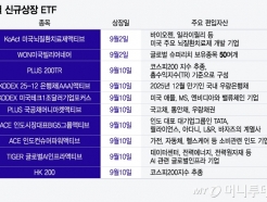 '޶ ' پȭȭ  ETF Żǰ 