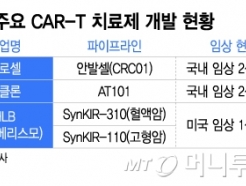 '' CAR-T ׾,  ȭ ο '˰' ߻ ָ