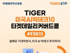 ̷, TIGER ̱AIũ10ŸٵϸĿ 