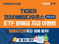 TIGER ڸƹٿ ETF, ڻ 5000 