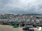  태풍 '마이삭' 피해 여수 국동항에 몰려든 선박들