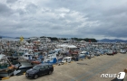  태풍 '마이삭' 피해 여수 국동항에 몰려든 선박들