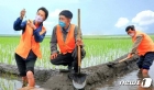  계획 완수 다짐하는 북한 농업 부문 "대담한 공격·결사전"