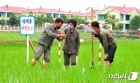  북한 "무진막강한 힘 원천인 충실성으로 알곡고지 점령"