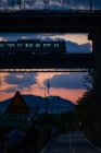  ö    41 ǥ..ݻ ''