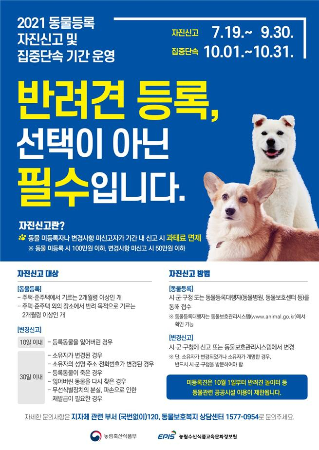 9월까지 반려동물 등록 안하면 최대 60만원 과태료 낸다 - Vimarsana News