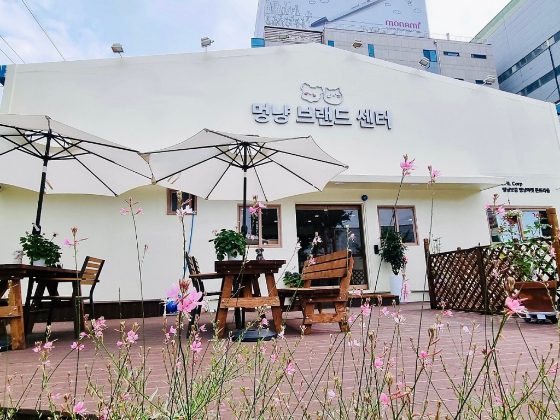 반려동물 육아 앱 '멍냥보감' 용인에 브랜드 센터 오픈 - 뉴스 썸네일 이미지