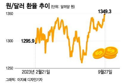 연고점 연일 돌파 원달러환율...ETF로 '킹달러'에 투자해볼까 - 머니투데이