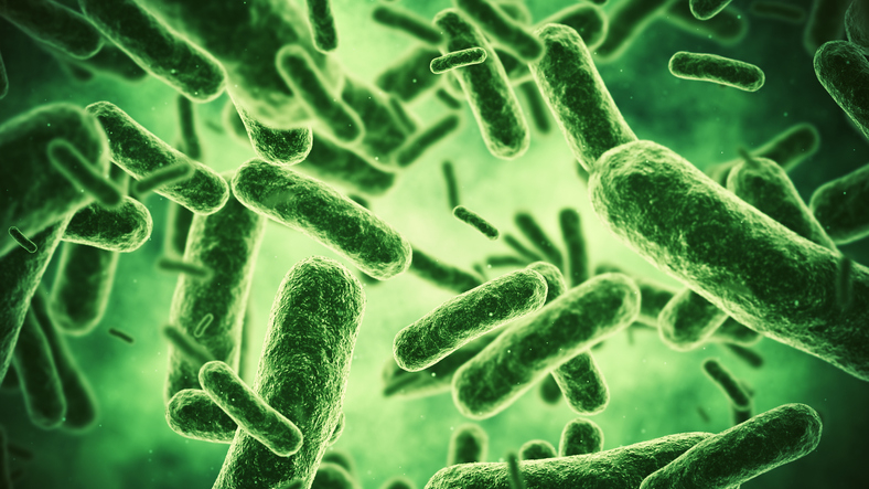에르메스 가방 만들고, 현대차에 쓰인 이 기술..."5년 후 4조원 시장" - 뉴스 썸네일 이미지